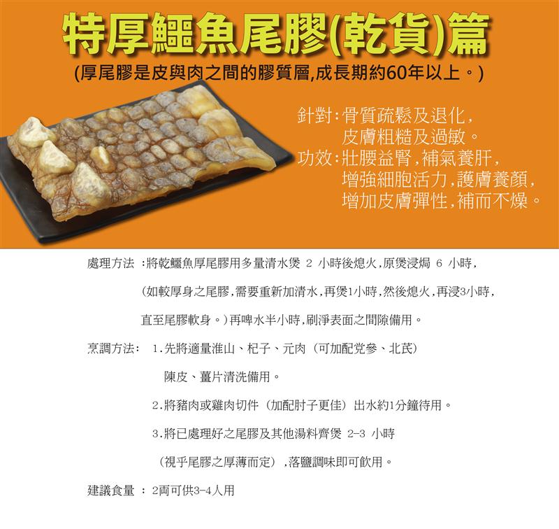特厚鱷魚尾篇